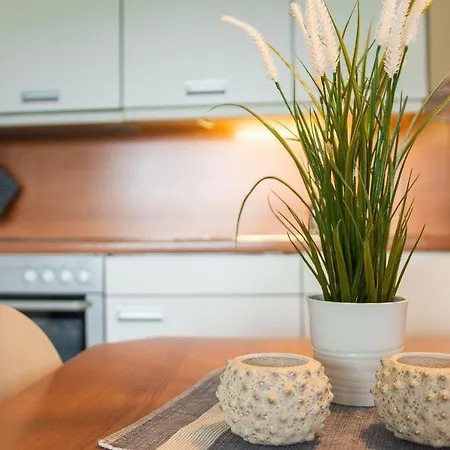 Haus-am-deich-wohnung-8 * Dahme (Schleswig-Holstein)